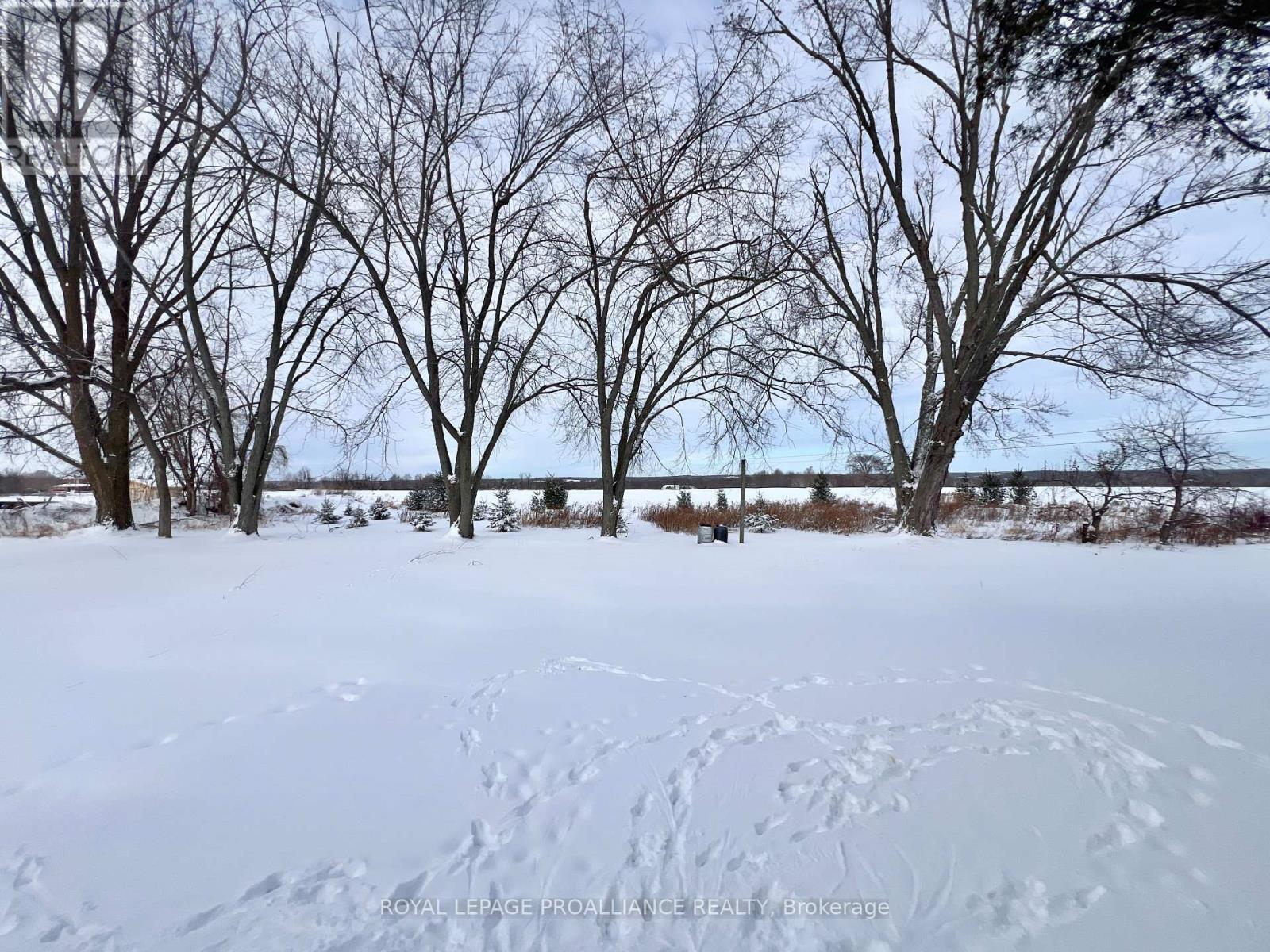 41 Sills Road, Centre Hastings, Ontario  K0K 3E0 - Photo 11 - X12687358