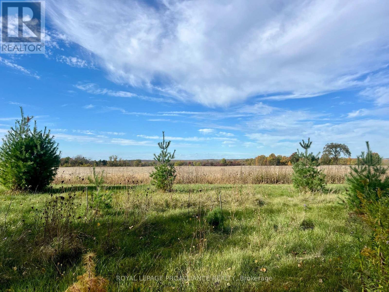 41 Sills Road, Centre Hastings, Ontario  K0K 3E0 - Photo 33 - X12687358