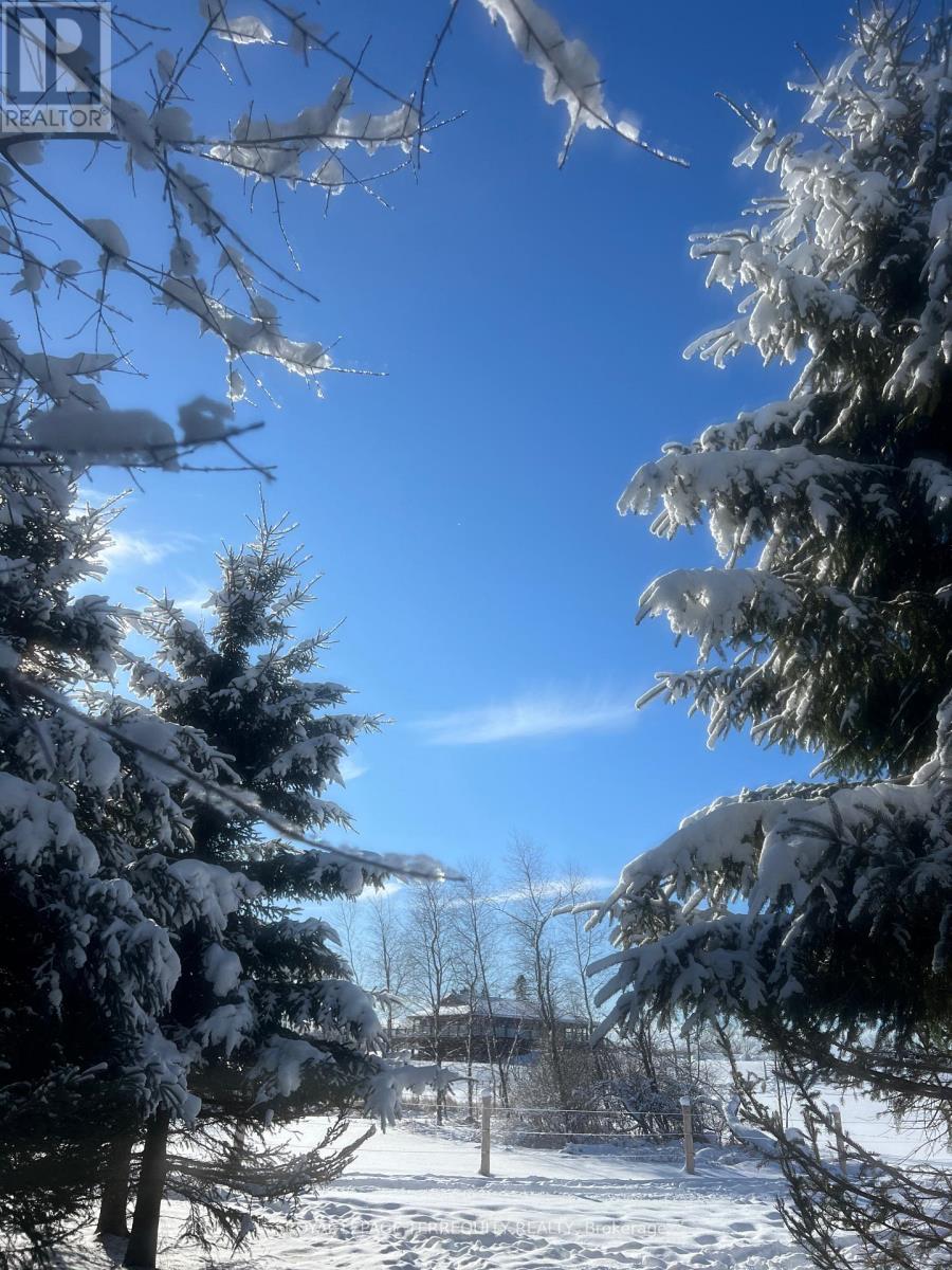 189 East Hungerford Road, Tweed, Ontario  K0K 3J0 - Photo 35 - X12703364