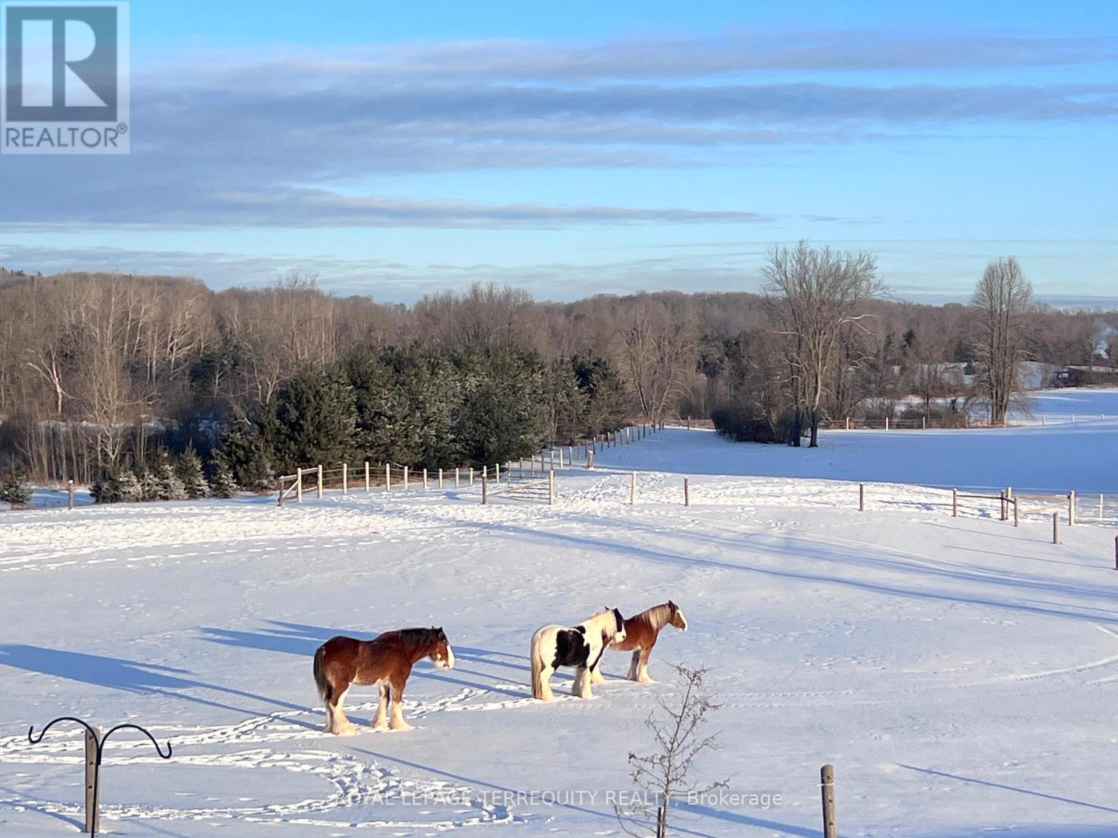 189 East Hungerford Road, Tweed, Ontario  K0K 3J0 - Photo 38 - X12703364