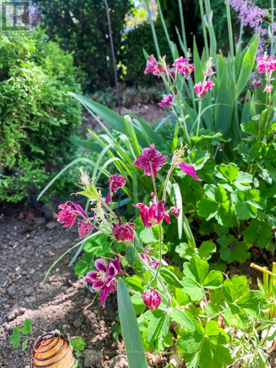 2249 Woodcrest Drive, Oakville, Ontario  L6M 4C6 - Photo 49 - W12703938