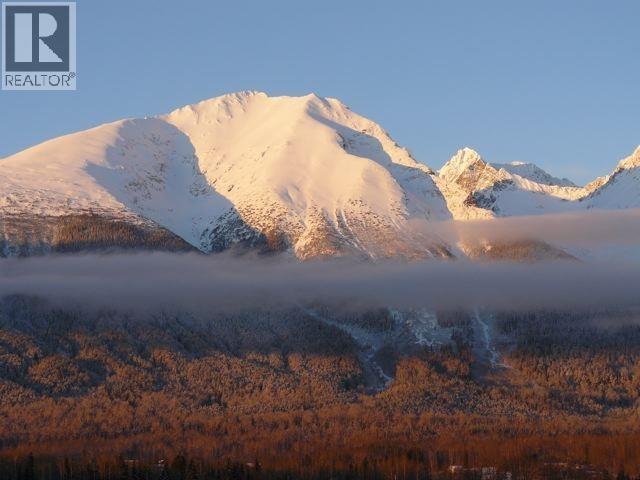 14 Pavilion Place, Smithers, British Columbia  V0J 2N2 - Photo 25 - R3065376