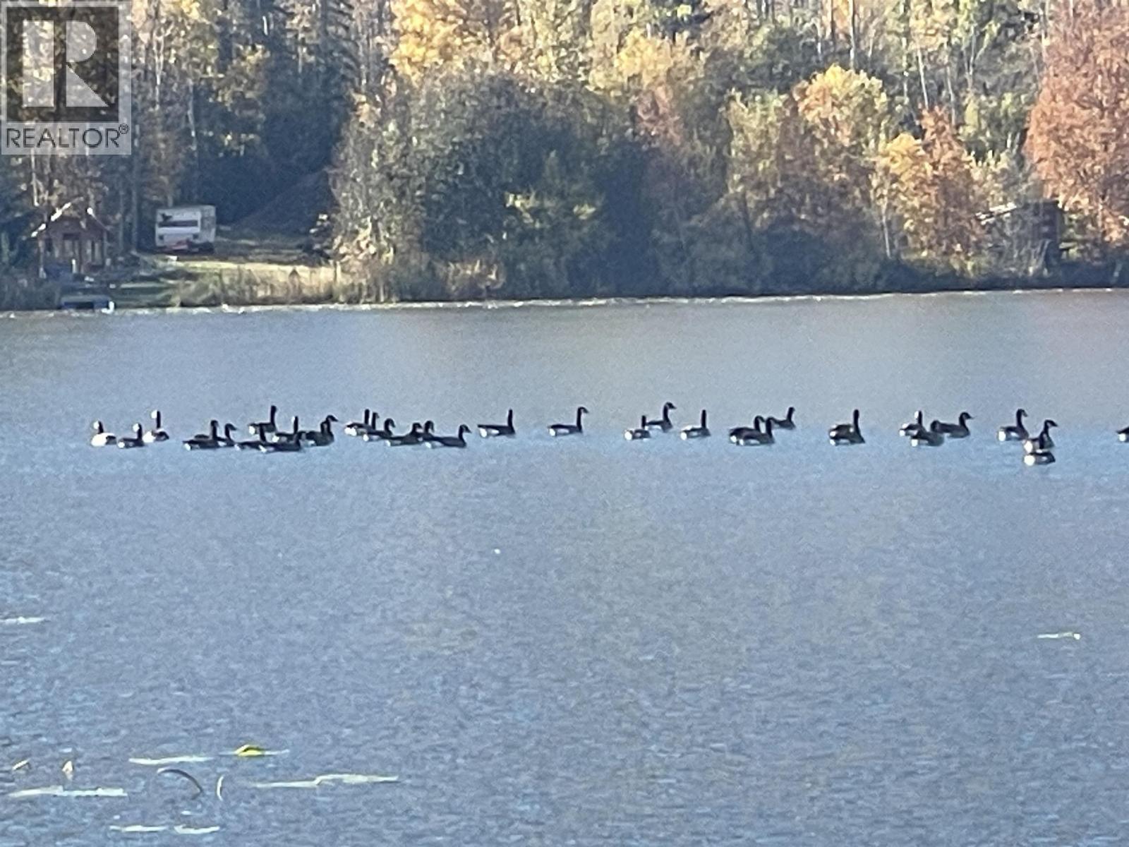 14 Pavilion Place, Smithers, British Columbia  V0J 2N2 - Photo 20 - R3065376