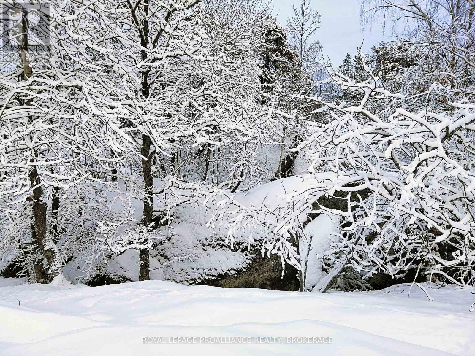 384 BIG CROSBY LAKE ROAD, Rideau Lakes, Ontario