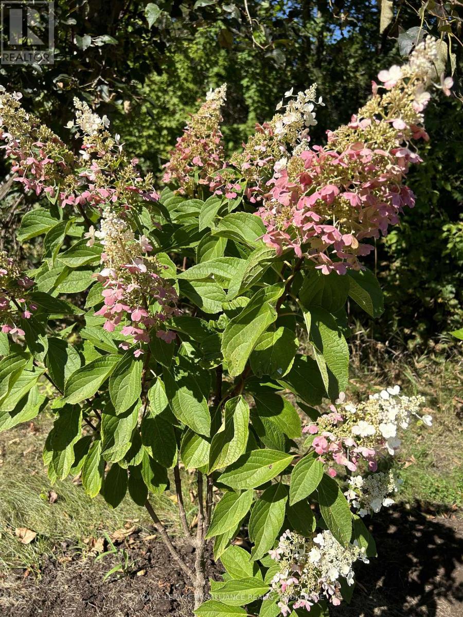 384 Big Crosby Lake Road, Rideau Lakes, Ontario  K0G 1X0 - Photo 20 - X12703324