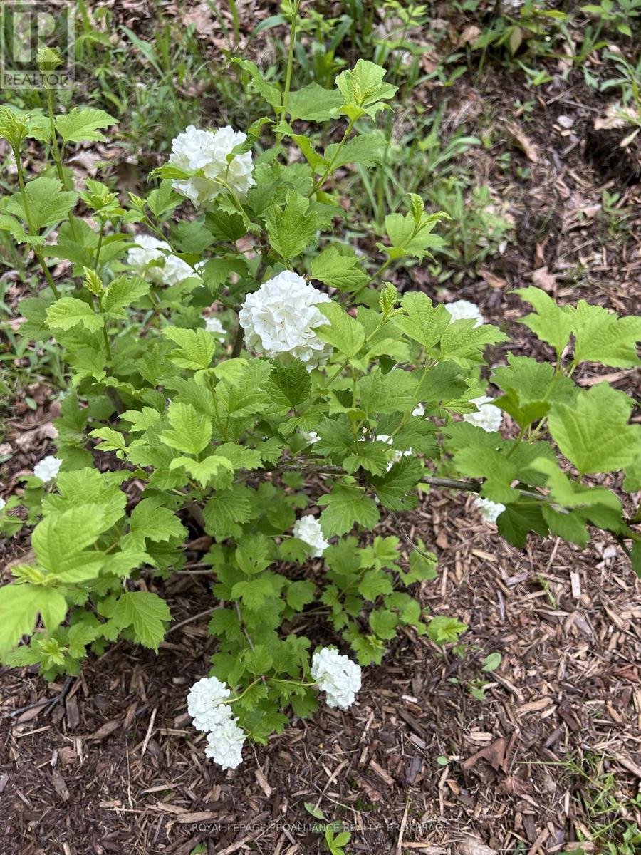 384 Big Crosby Lake Road, Rideau Lakes, Ontario  K0G 1X0 - Photo 27 - X12703324
