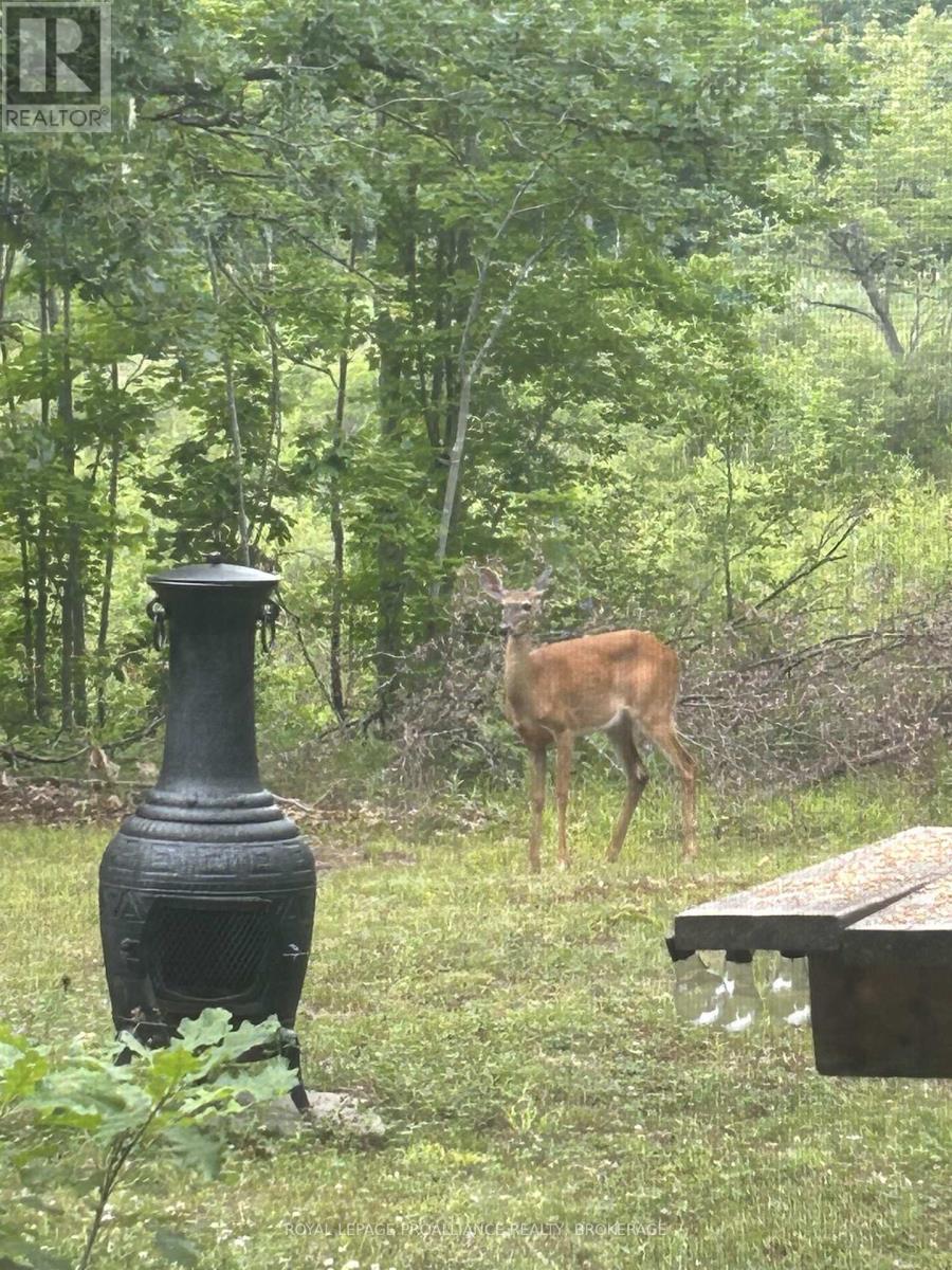 384 Big Crosby Lake Road, Rideau Lakes, Ontario  K0G 1X0 - Photo 28 - X12703324