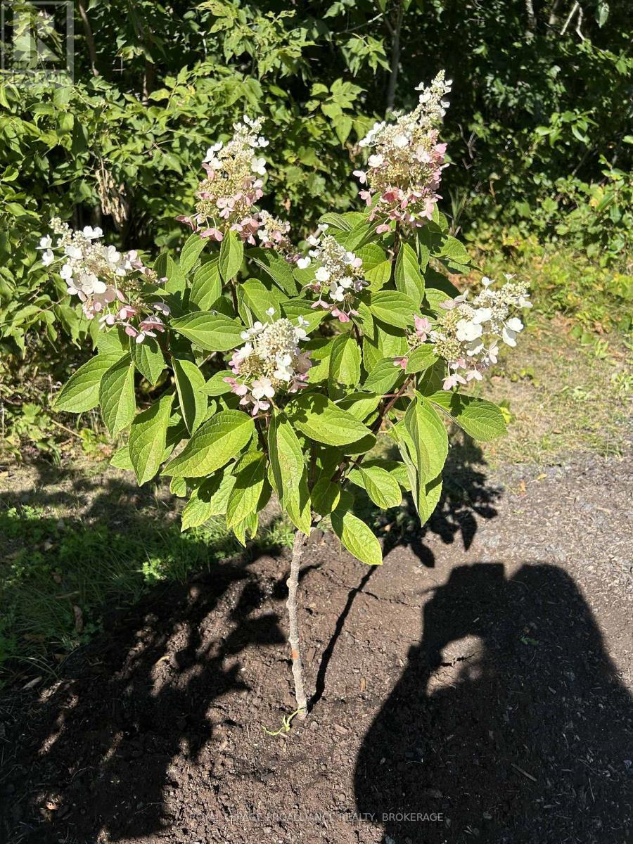 384 Big Crosby Lake Road, Rideau Lakes, Ontario  K0G 1X0 - Photo 33 - X12703324