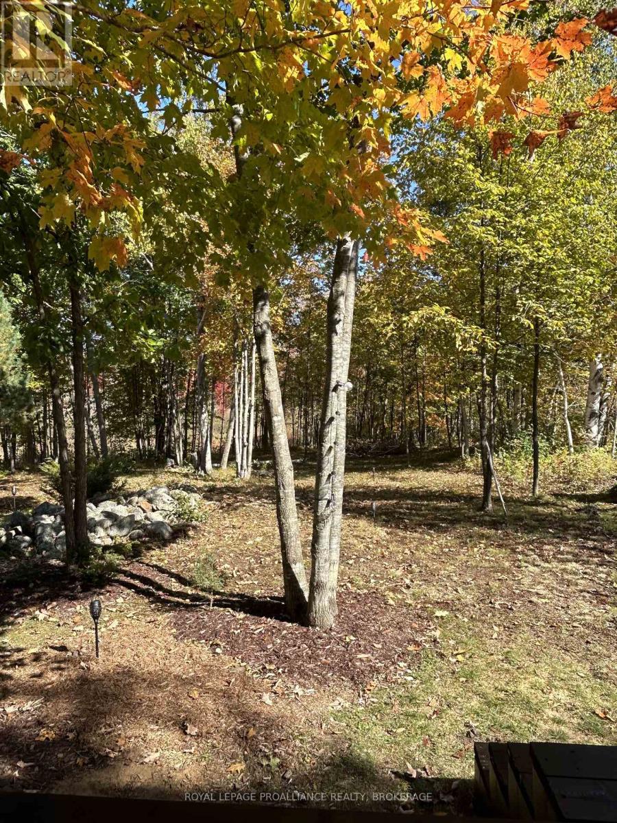 384 Big Crosby Lake Road, Rideau Lakes, Ontario  K0G 1X0 - Photo 30 - X12703324