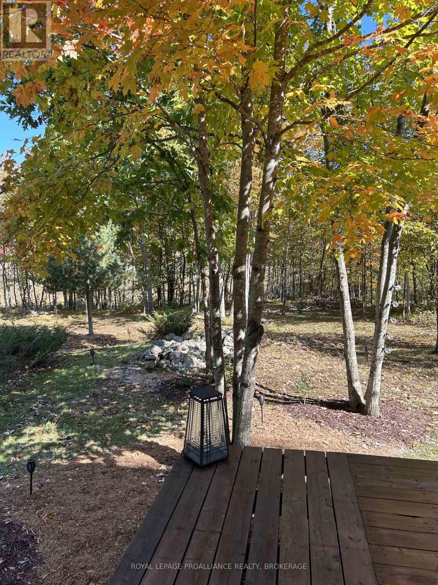384 Big Crosby Lake Road, Rideau Lakes, Ontario  K0G 1X0 - Photo 32 - X12703324