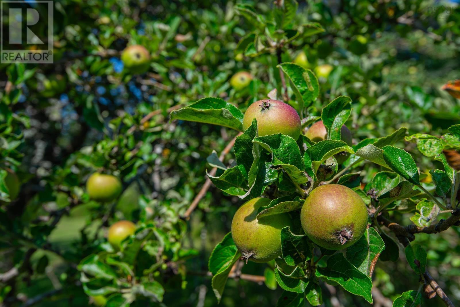 8402 Highway 1, Meteghan, Nova Scotia  B0W 2J0 - Photo 42 - 202528473