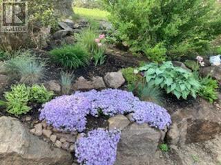 1898 Lakehurst Road, Trent Lakes, Ontario  K0L 1J0 - Photo 49 - X12615330