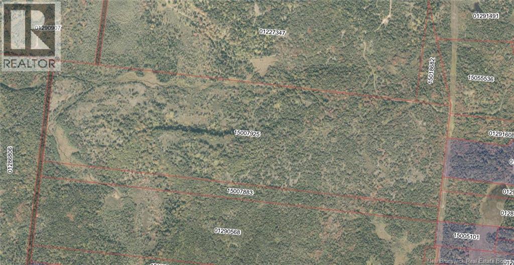 Money Cove Brook, Grand Manan, New Brunswick  E5G 1L8 - Photo 4 - NB132276