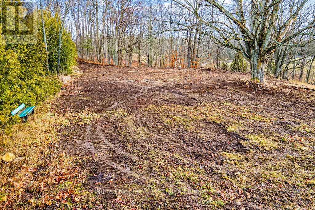 Part 2 16r6350 - Ptlt 16 5 Side Road, Chatsworth, Ontario  N0H 1G0 - Photo 4 - X12704312