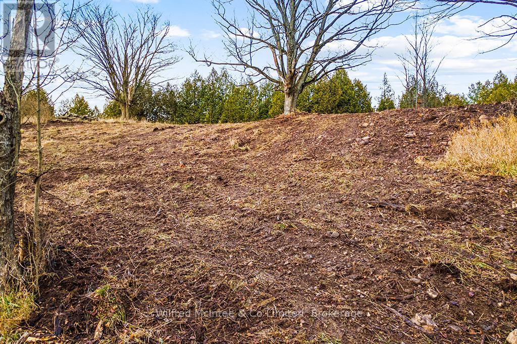 Part 2 16r6350 - Ptlt 16 5 Side Road, Chatsworth, Ontario  N0H 1G0 - Photo 6 - X12704312