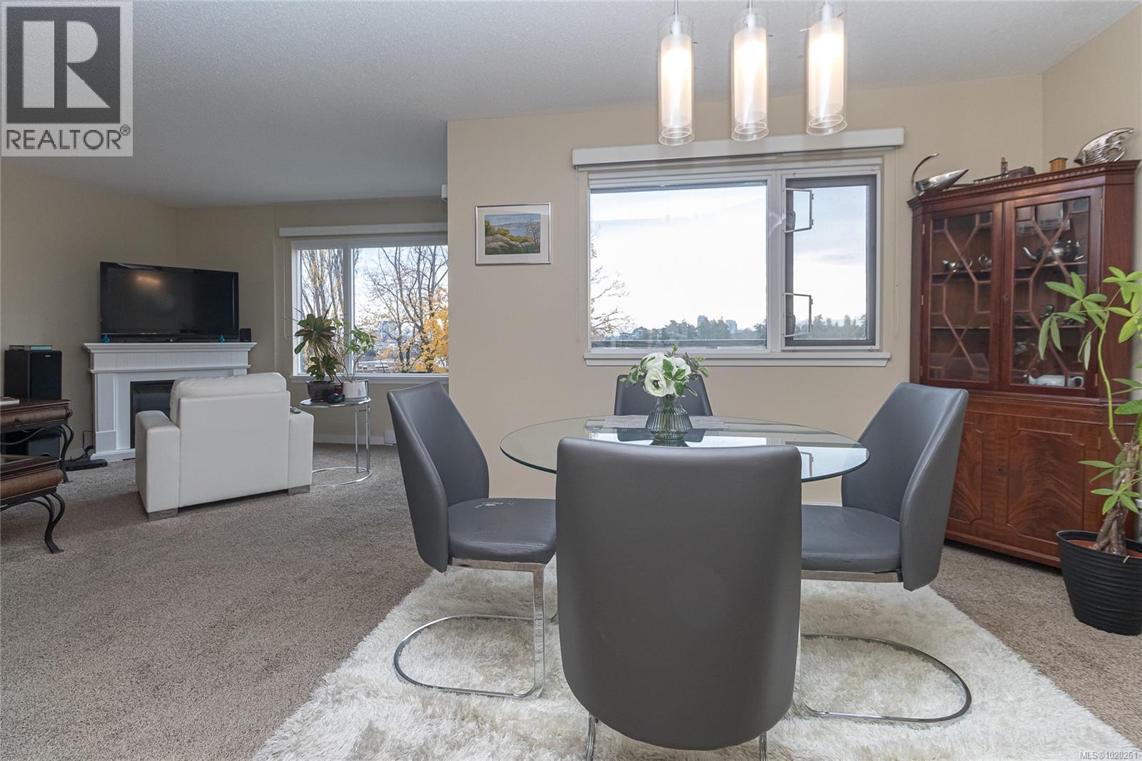 305 103 Gorge Rd E, Victoria, British Columbia  V9A 6Z2 - Photo 11 - 1020261