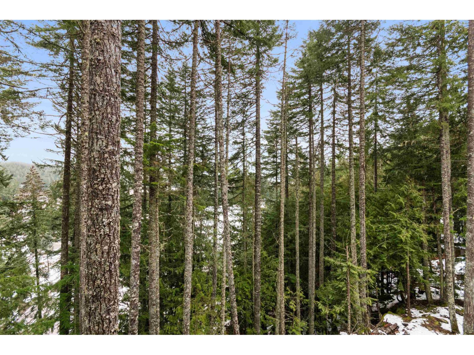 14934 Parkhill Boulevard, Sunshine Valley, Sunshine Valley, British Columbia  V0X 1L5 - Photo 32 - R3080210