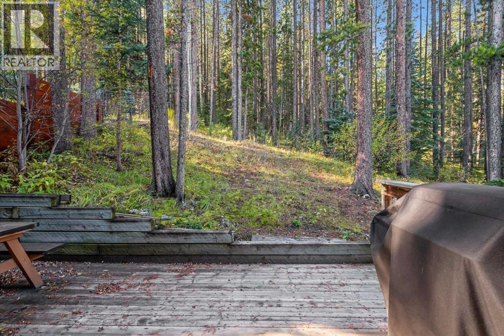 1073 Wilson Way, Canmore, Alberta  T1W 3C5 - Photo 23 - A2265573