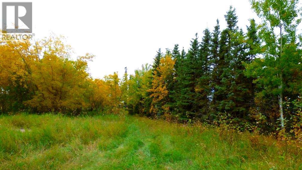 2520855, 1, 2, Lac La Biche, Alberta  T0A 2C0 - Photo 6 - A2183681