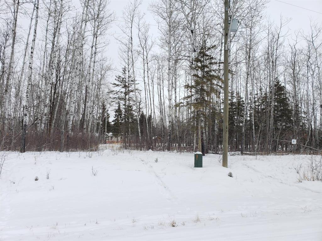 102 Mulberry Road, Gimli Rm, Manitoba R0C 0C0 - Photo 0 - 202600192