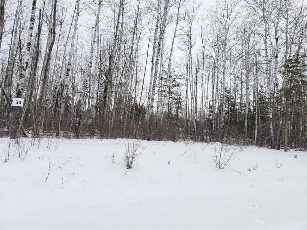 110 Mulberry Road, Gimli Rm, Manitoba  R0C 0C0 - Photo 0 - 202600193