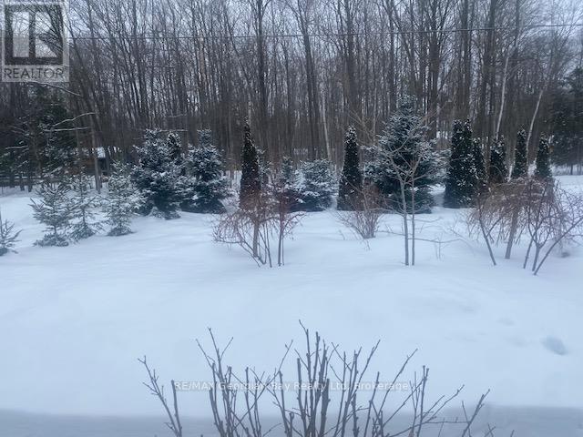 140 Wolfe Trail Nw, Tiny, Ontario  L9M 0H7 - Photo 36 - S12704760