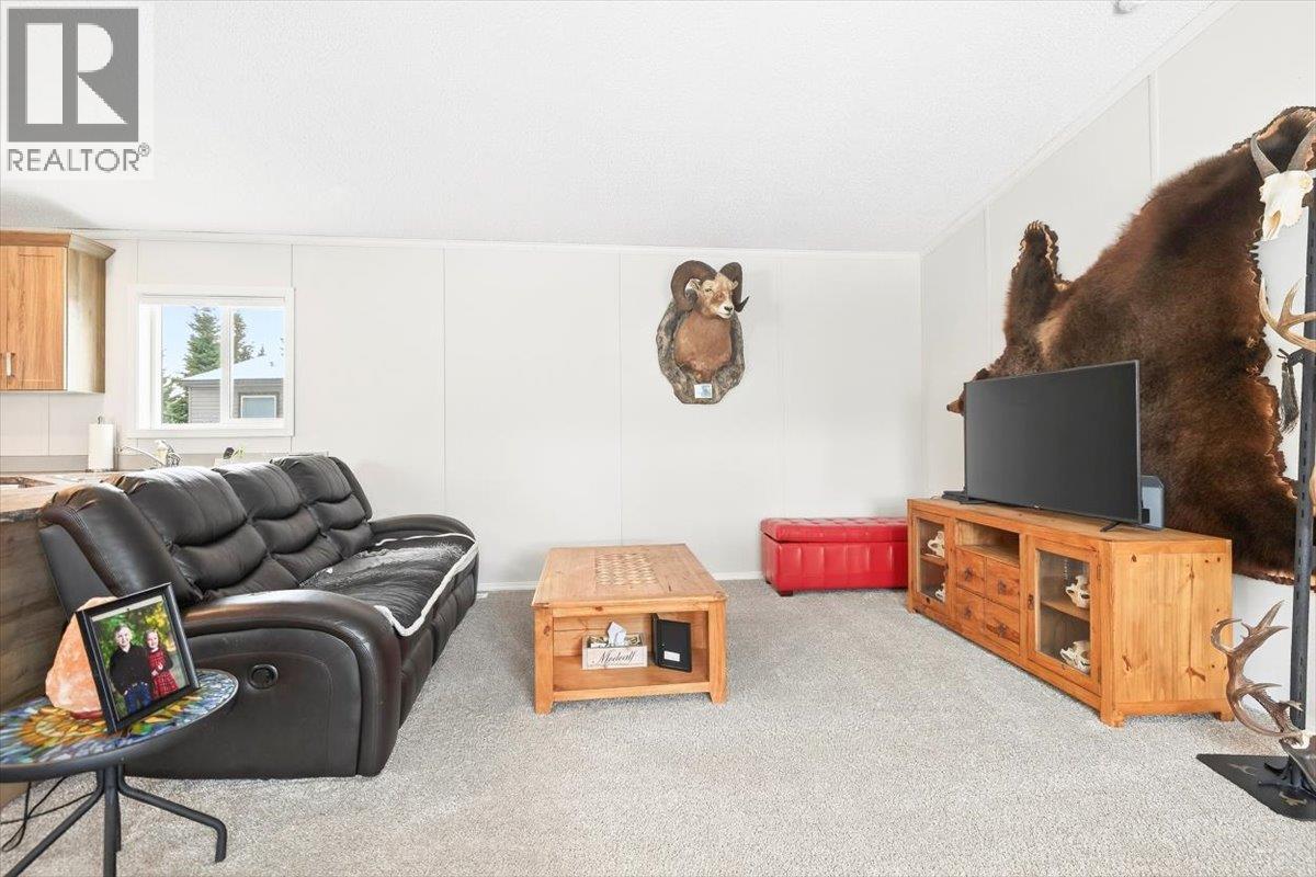 22 Wilderness Heights Drive, Elkford, British Columbia  V0B 1H0 - Photo 8 - 10373017