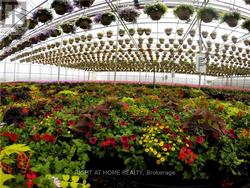 1101 Derry Road, Milton, Ontario  L7P 0E2 - Photo 14 - W12704746