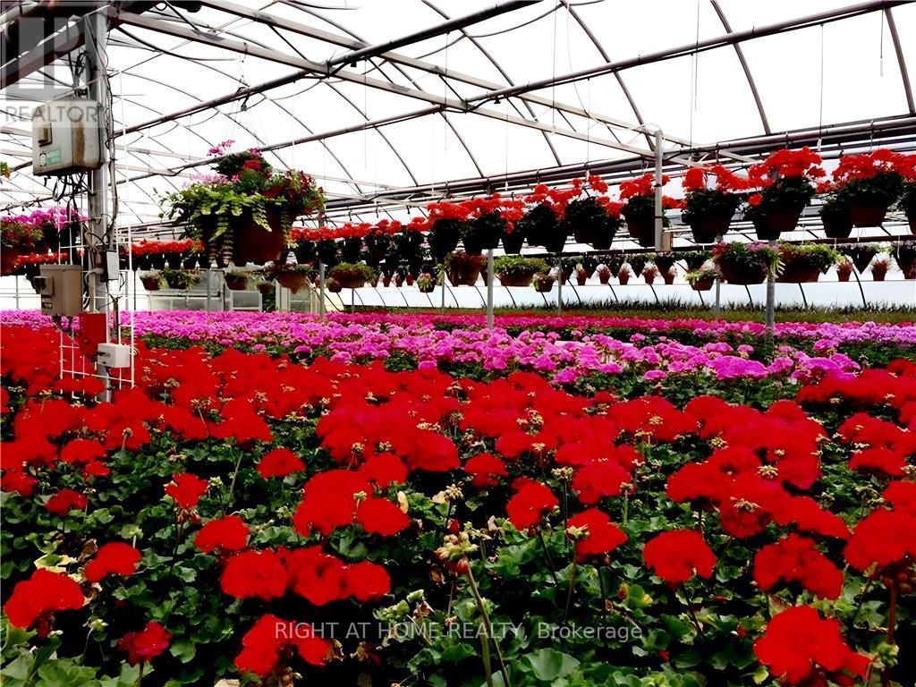 1101 Derry Road, Milton, Ontario  L7P 0E2 - Photo 18 - W12704746