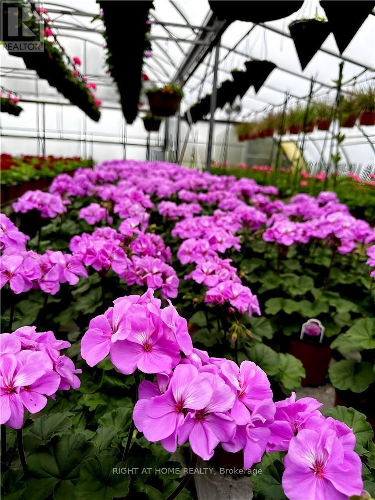 1101 Derry Road, Milton, Ontario  L7P 0E2 - Photo 19 - W12704746