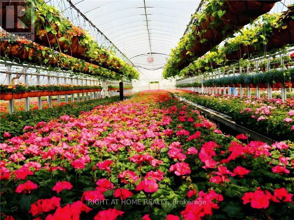 1101 Derry Road, Milton, Ontario  L7P 0E2 - Photo 2 - W12704746