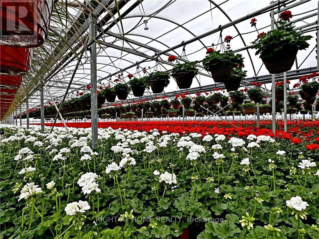 1101 Derry Road, Milton, Ontario  L7P 0E2 - Photo 20 - W12704746