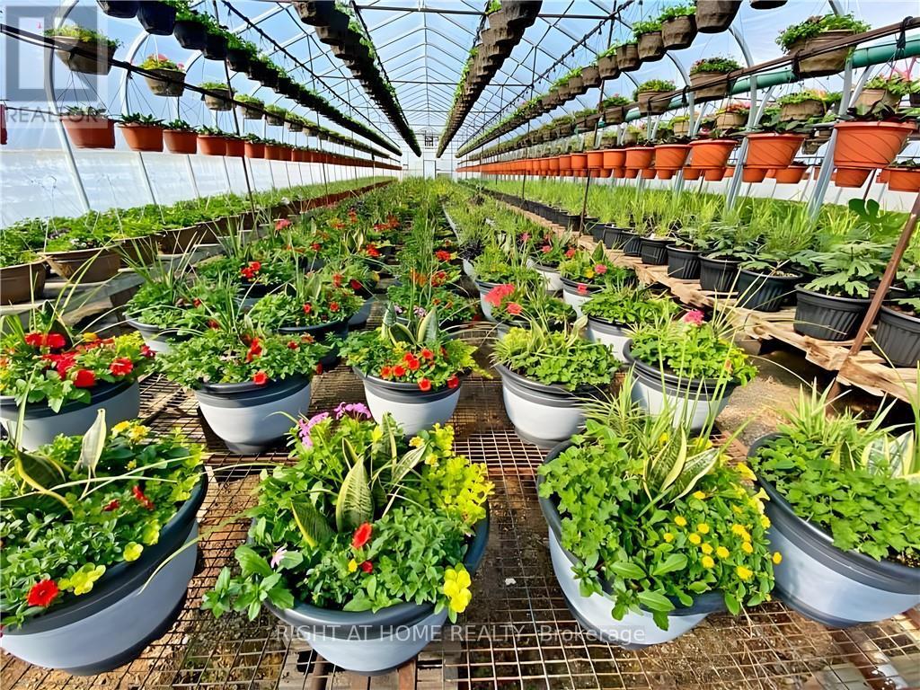 1101 Derry Road, Milton, Ontario  L7P 0E2 - Photo 21 - W12704746