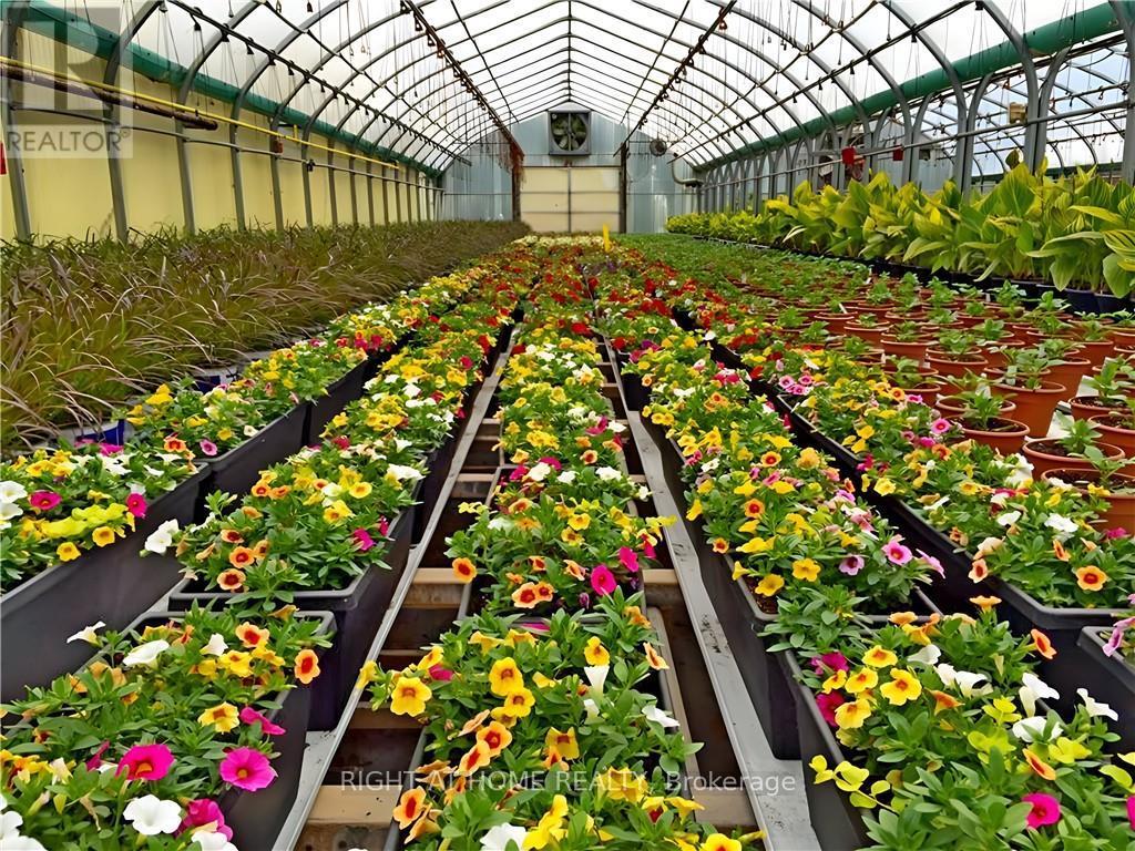 1101 Derry Road, Milton, Ontario  L7P 0E2 - Photo 23 - W12704746