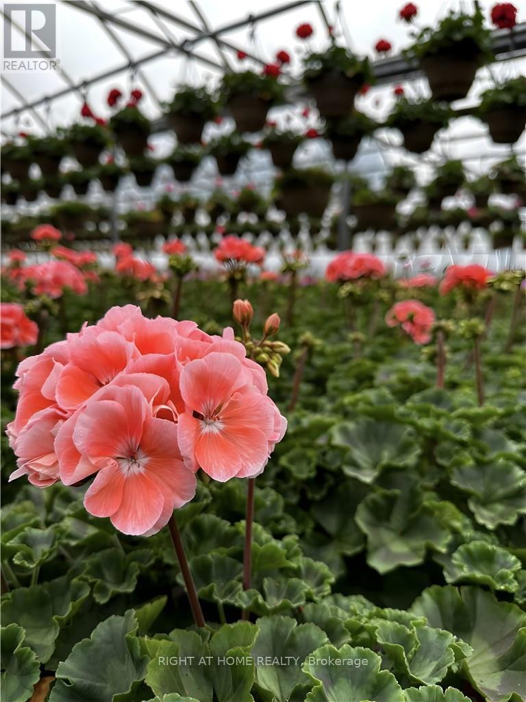 1101 Derry Road, Milton, Ontario  L7P 0E2 - Photo 24 - W12704746