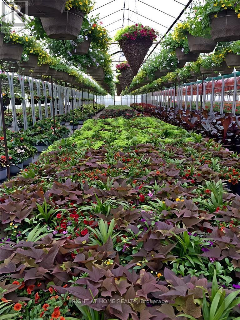 1101 Derry Road, Milton, Ontario  L7P 0E2 - Photo 26 - W12704746