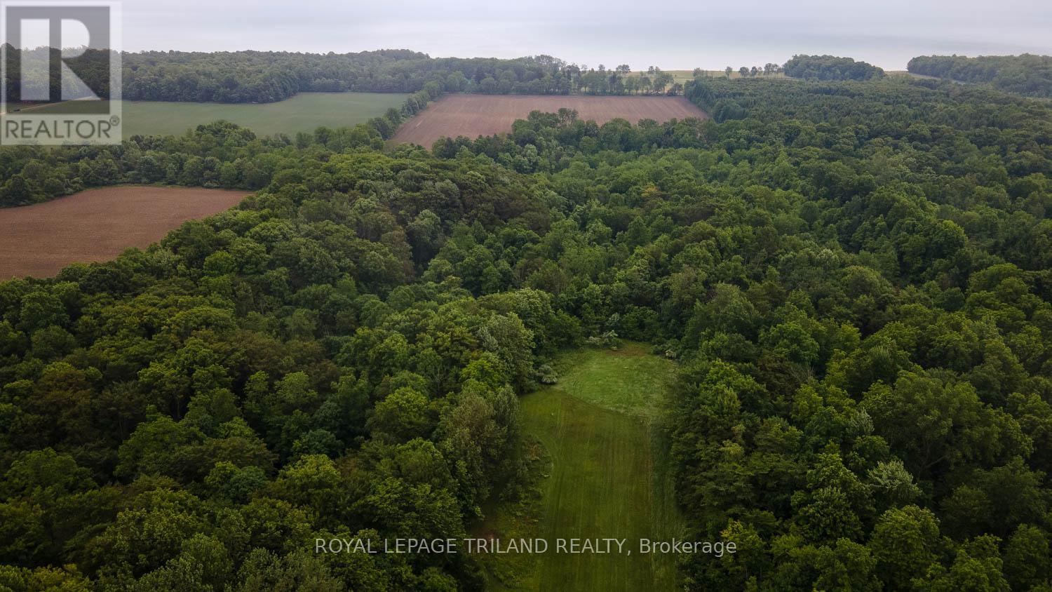 23171 Talbot Line, West Elgin, Ontario  N0L 2C0 - Photo 10 - X12704924