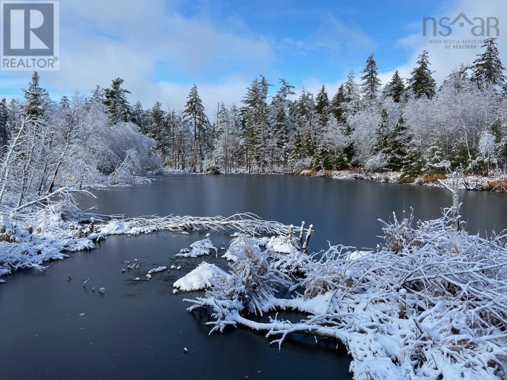 4058 Highway 325, Newcombville, Nova Scotia  B4V 8M9 - Photo 43 - 202600963