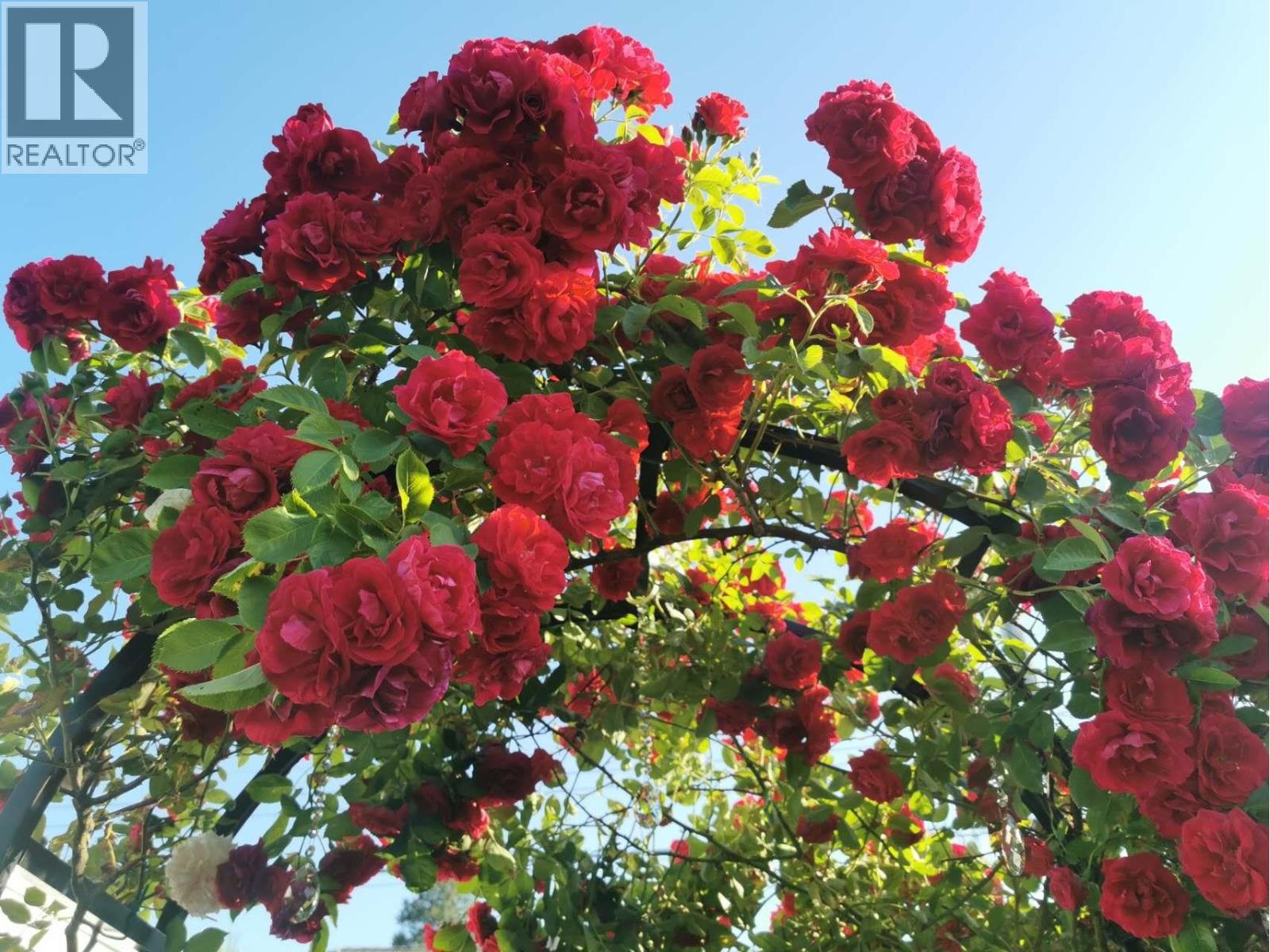 6593 Lochdale Street, Burnaby, British Columbia  V5B 2M7 - Photo 7 - R3080316