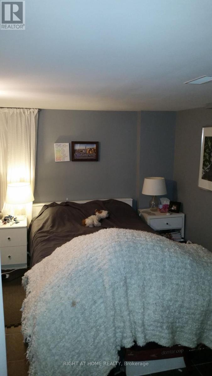 Lower - 23 Lumbervale Avenue, Toronto, Ontario  M6H 1C7 - Photo 4 - C12276104