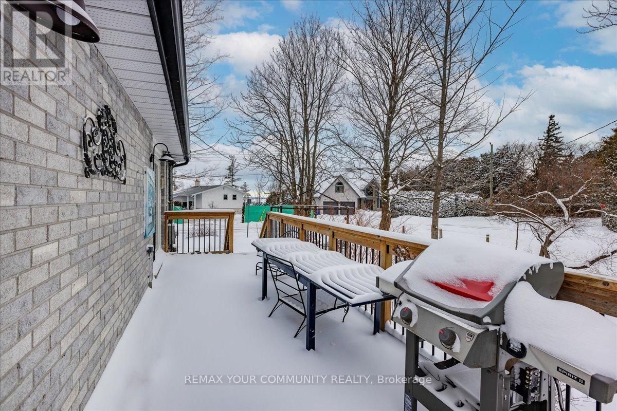 21 Malone Road, Georgina, Ontario  L0E 1L0 - Photo 30 - N12705130