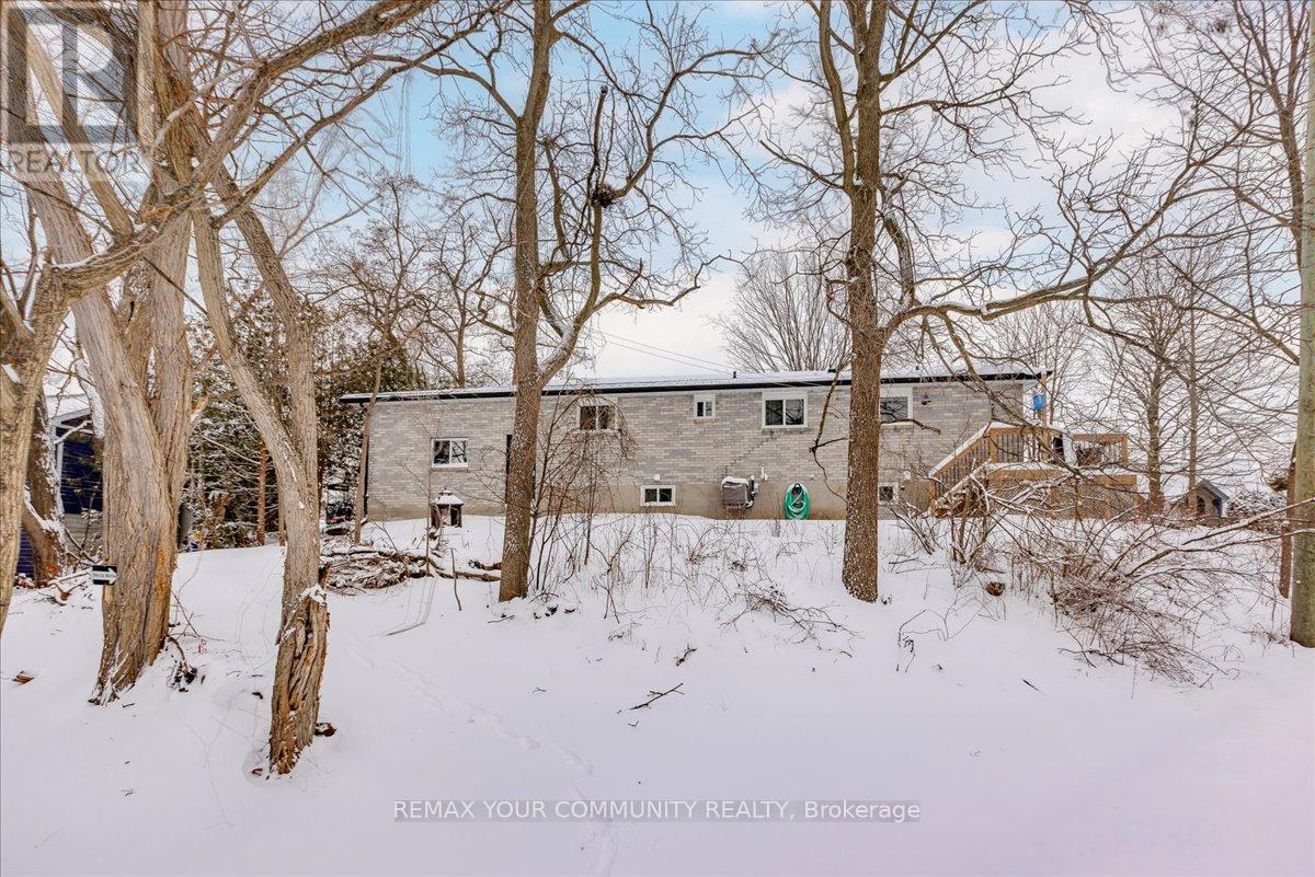 21 Malone Road, Georgina, Ontario  L0E 1L0 - Photo 36 - N12705130