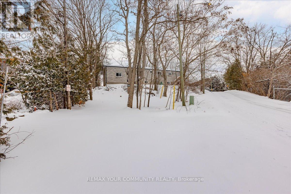 21 Malone Road, Georgina, Ontario  L0E 1L0 - Photo 37 - N12705130