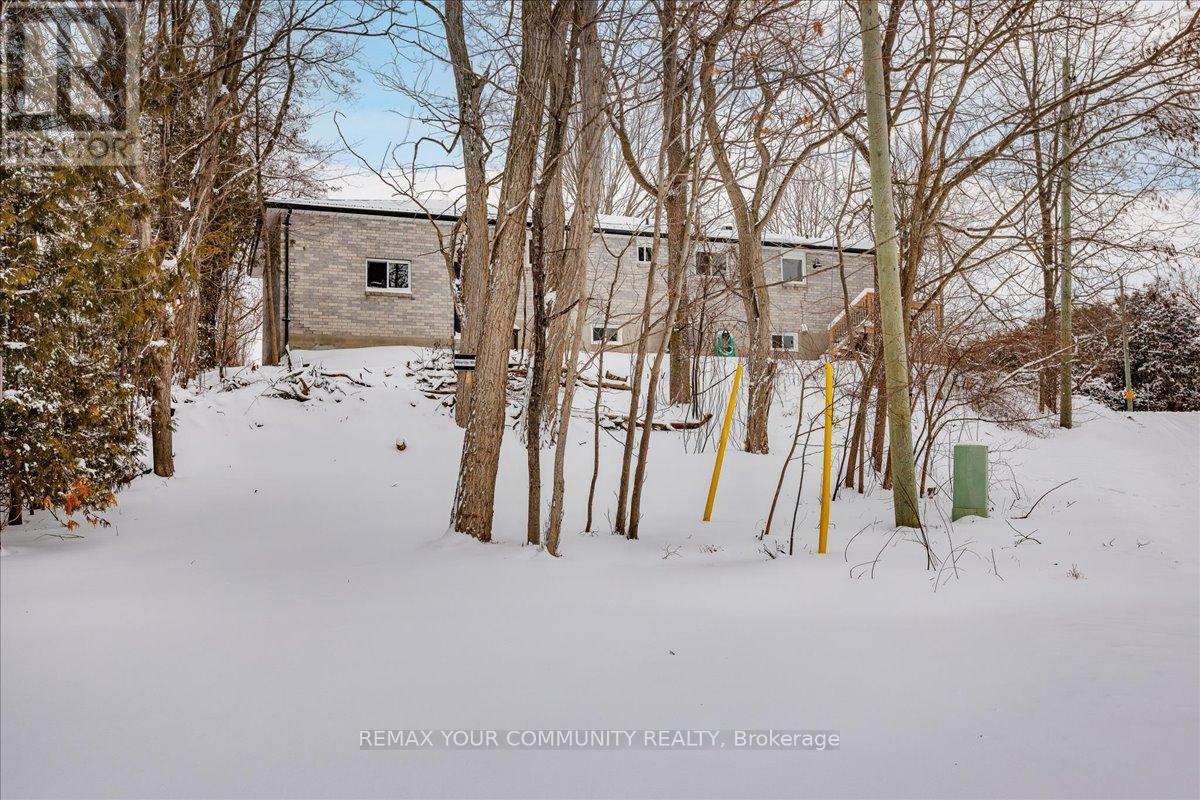 21 Malone Road, Georgina, Ontario  L0E 1L0 - Photo 38 - N12705130