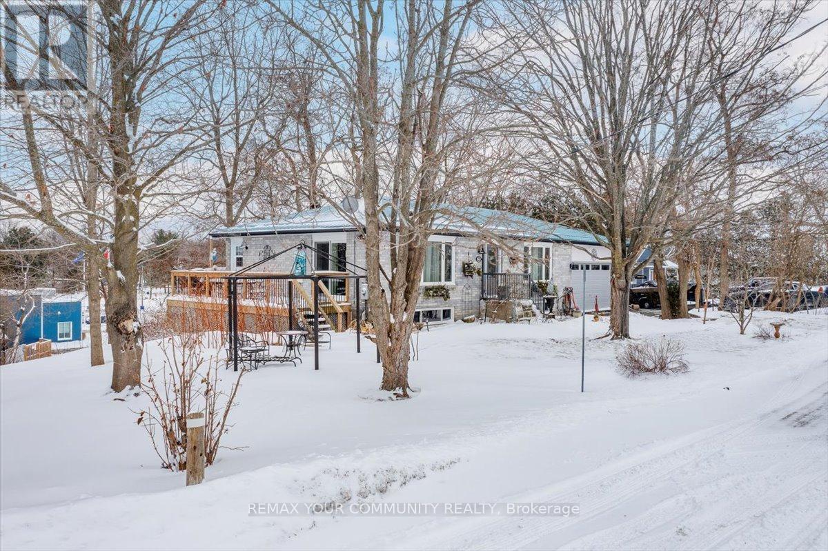 21 Malone Road, Georgina, Ontario  L0E 1L0 - Photo 4 - N12705130