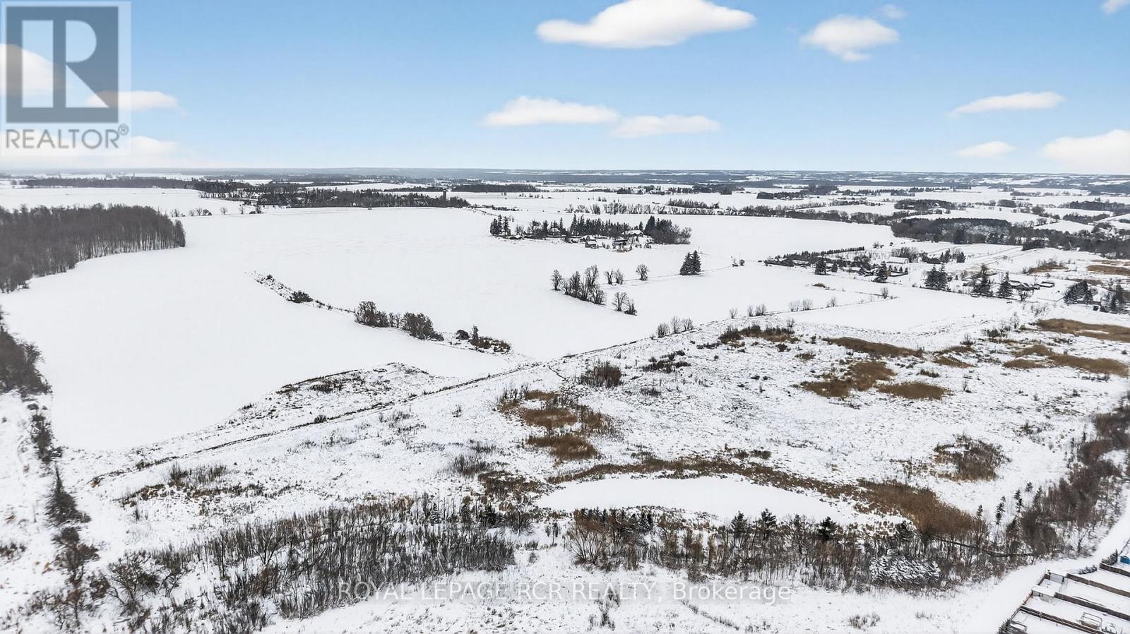 116 Shephard Avenue, New Tecumseth, Ontario  L9R 2G4 - Photo 37 - N12705190