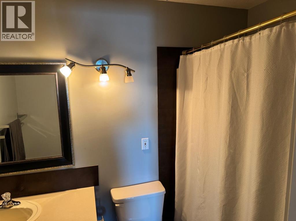 2025 Rainy Creek Road, Bentley, Alberta  T0C 0J0 - Photo 42 - A2279911