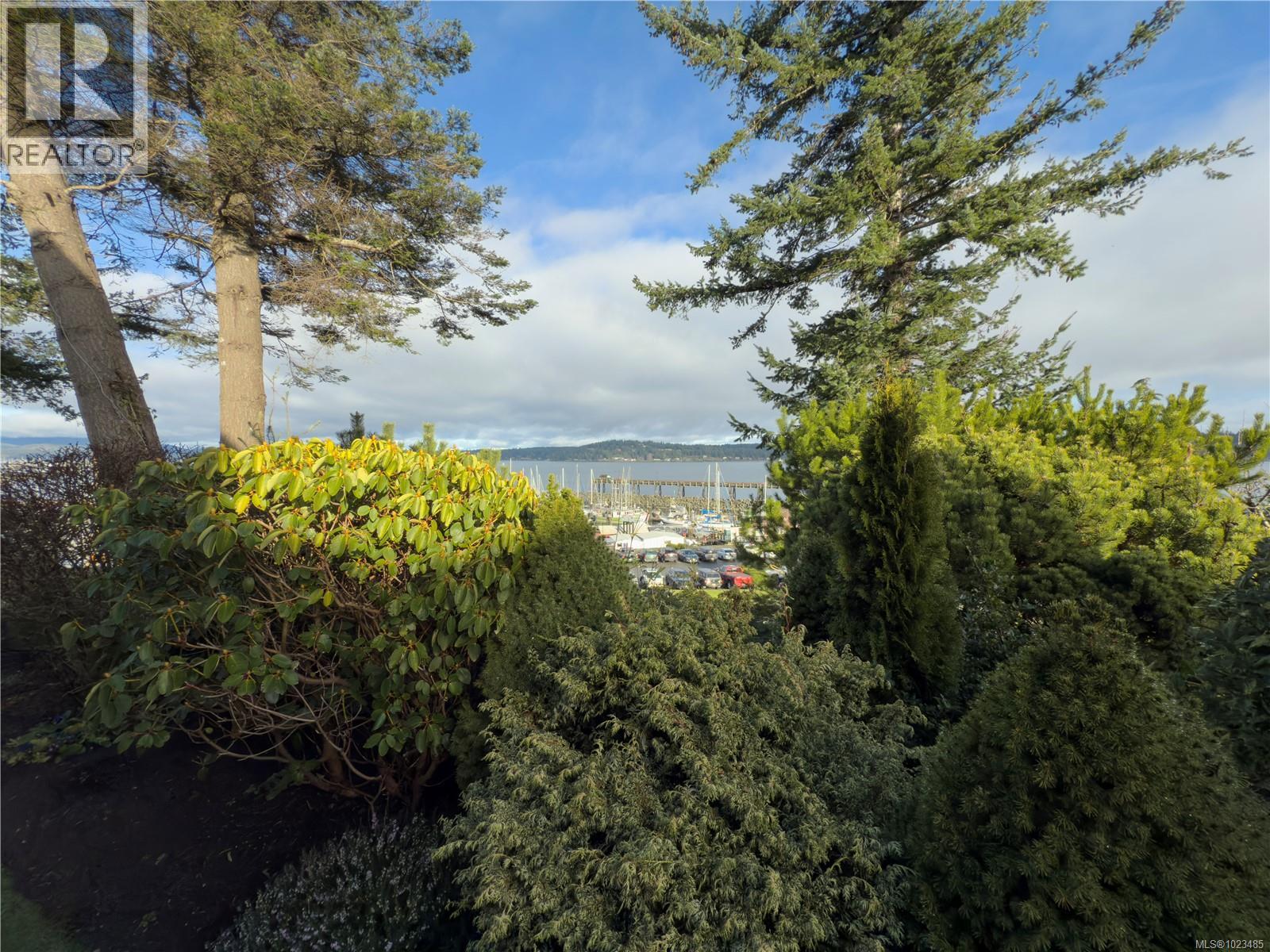 636 Island Hwy, Campbell River, British Columbia  V9W 2C3 - Photo 77 - 1023485