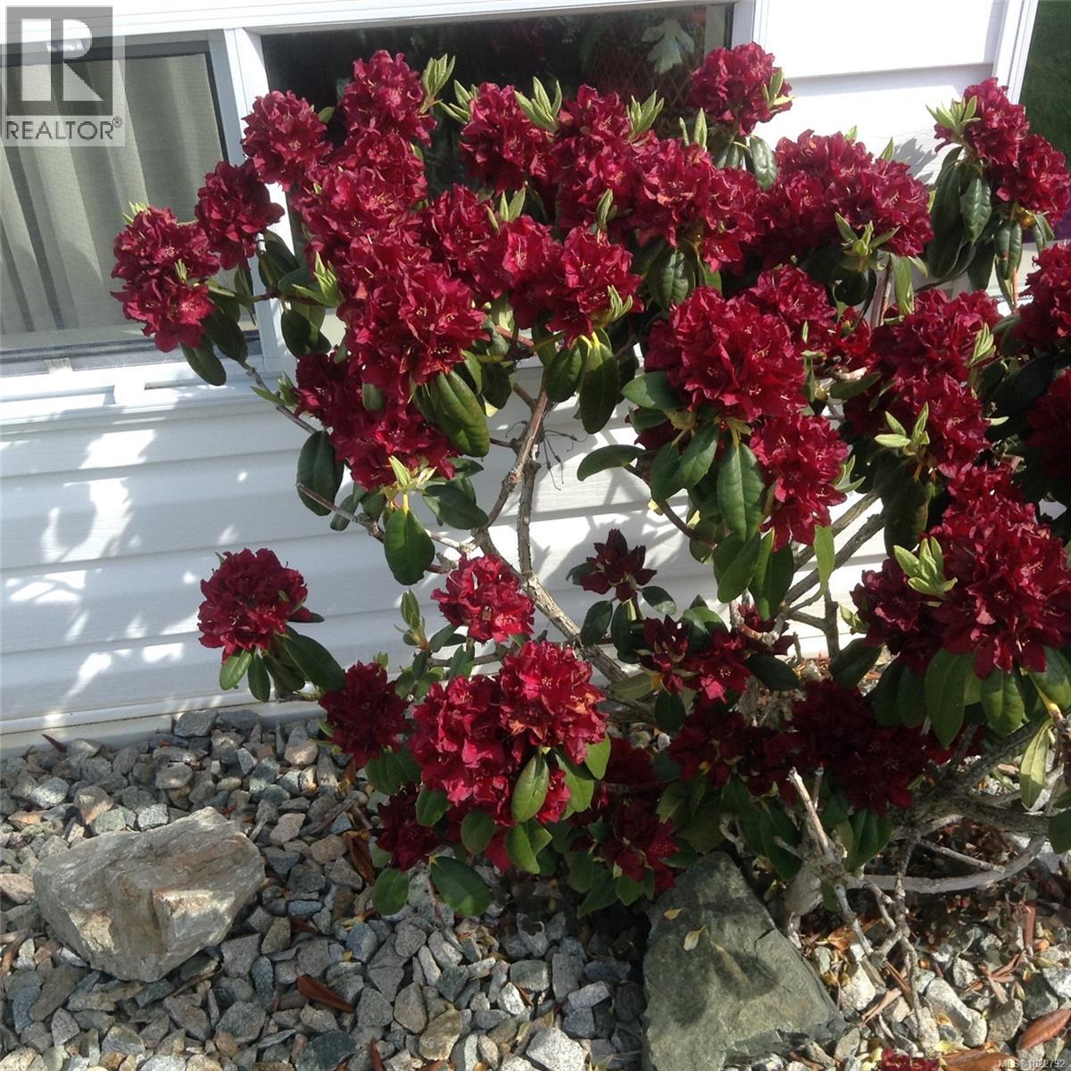 850 Temple St, Parksville, British Columbia  V9P 2L8 - Photo 57 - 1022792