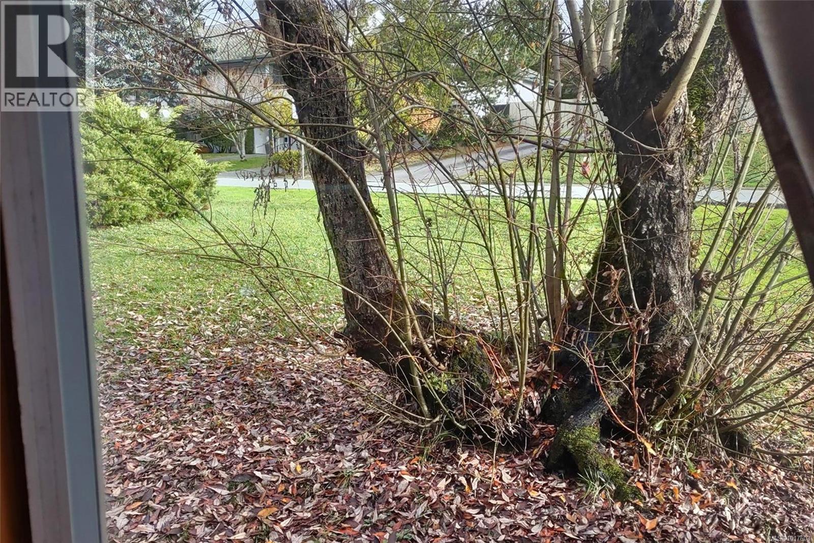 47 4110 Kendall Ave, Port Alberni, British Columbia  V9Y 5J1 - Photo 25 - 1017603